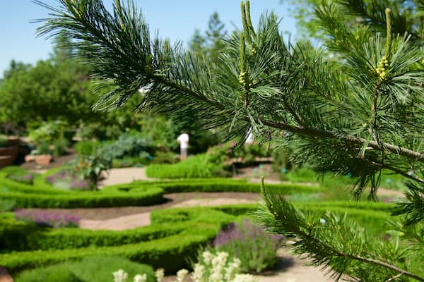 Red Butte Garden and Arboreteum which includes a park