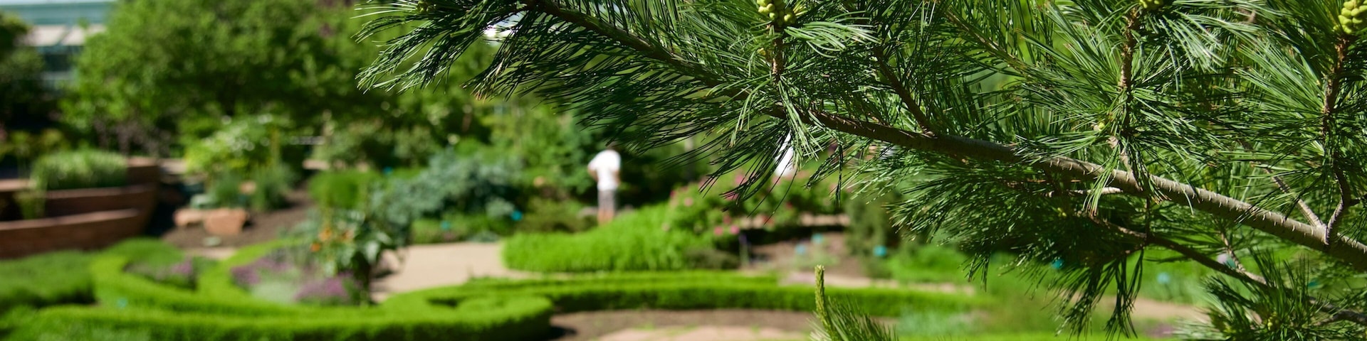 瑞布花園暨植物園 呈现出 花園
