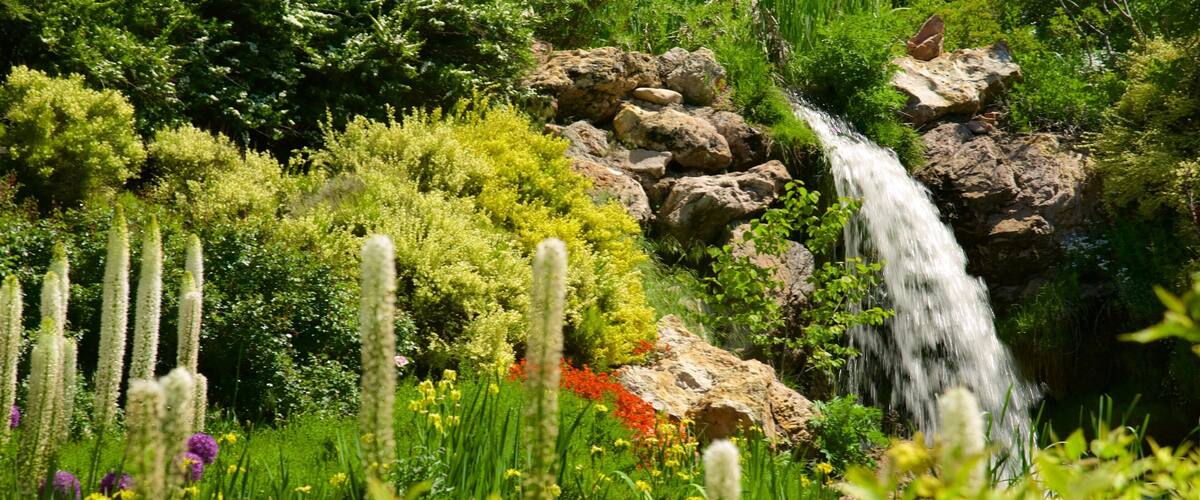 Red Butte Garden and Arboreteum featuring wildflowers