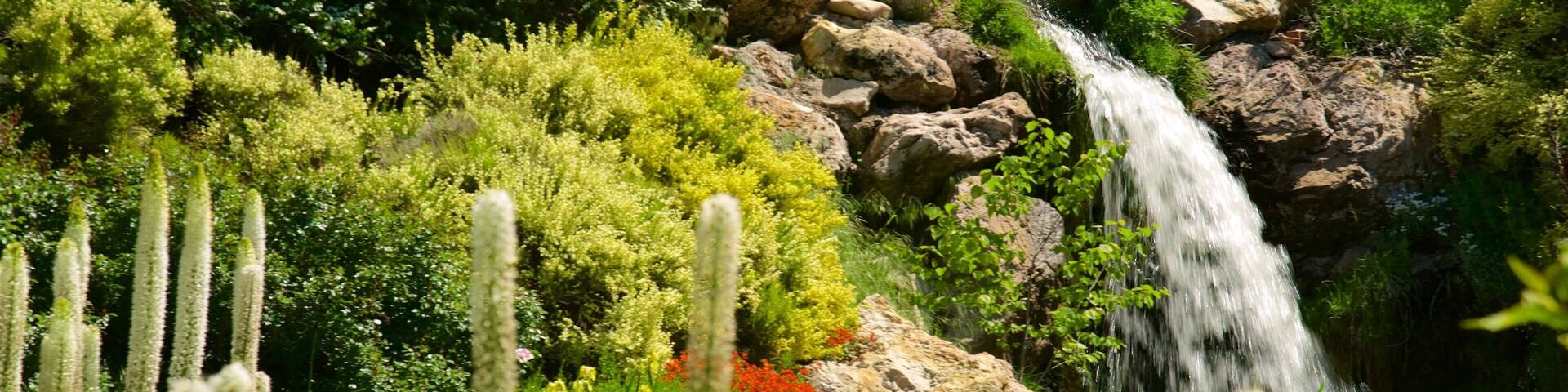 A waterfall cascading over rocks surrounded by lush greenery and flowering plants.