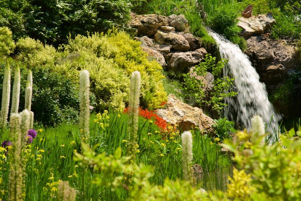 A waterfall cascading over rocks surrounded by lush greenery and flowering plants.