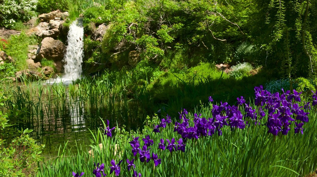 Red Butte Garden and Arboreteum featuring flowers and a park