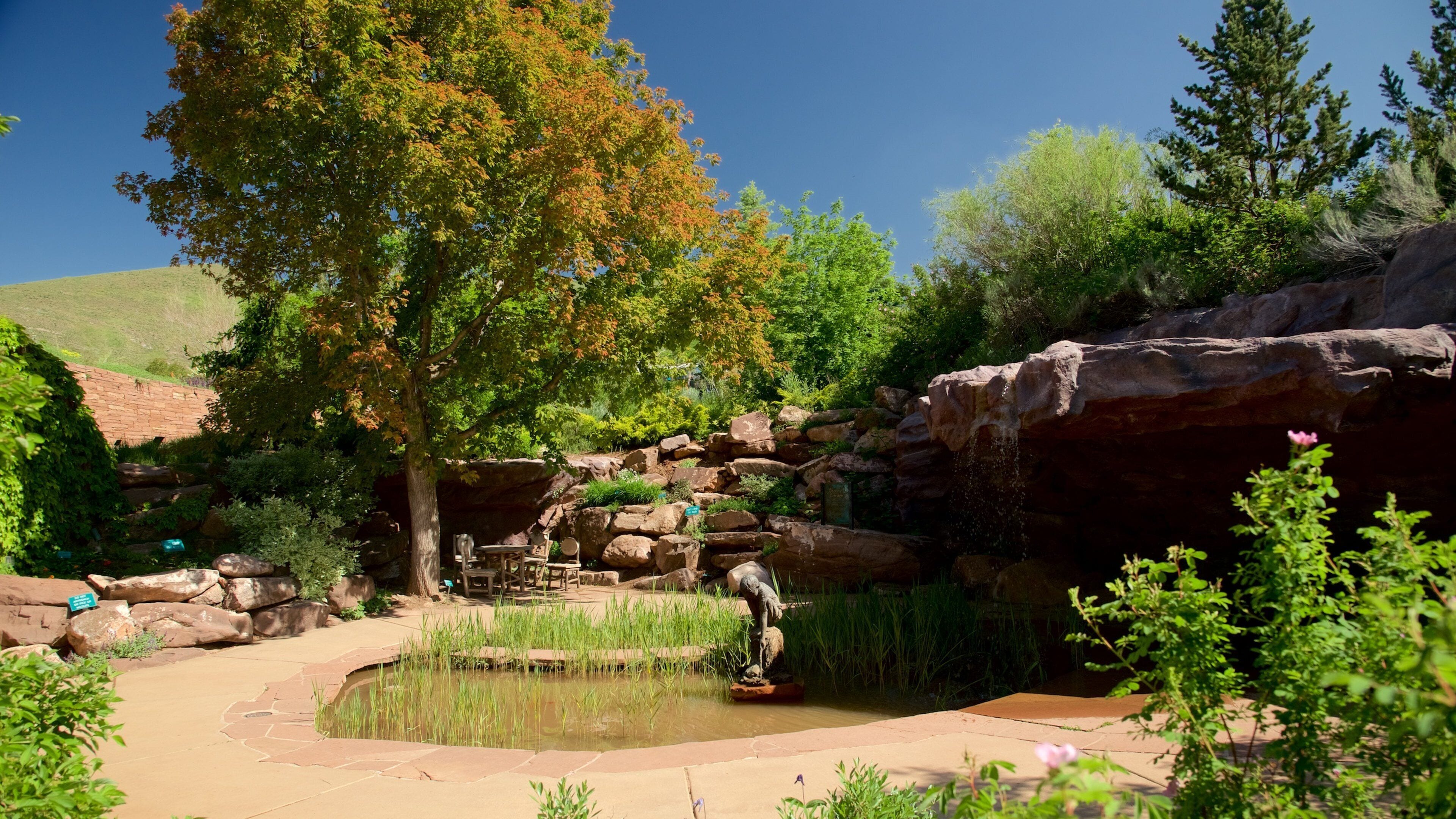 레드 뷰트 정원 수목원 을 특징 공원