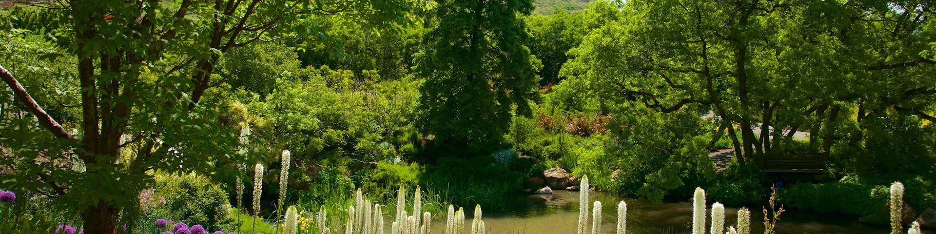 Red Butte Garden and Arboretum que inclui flores, um rio ou córrego e um jardim