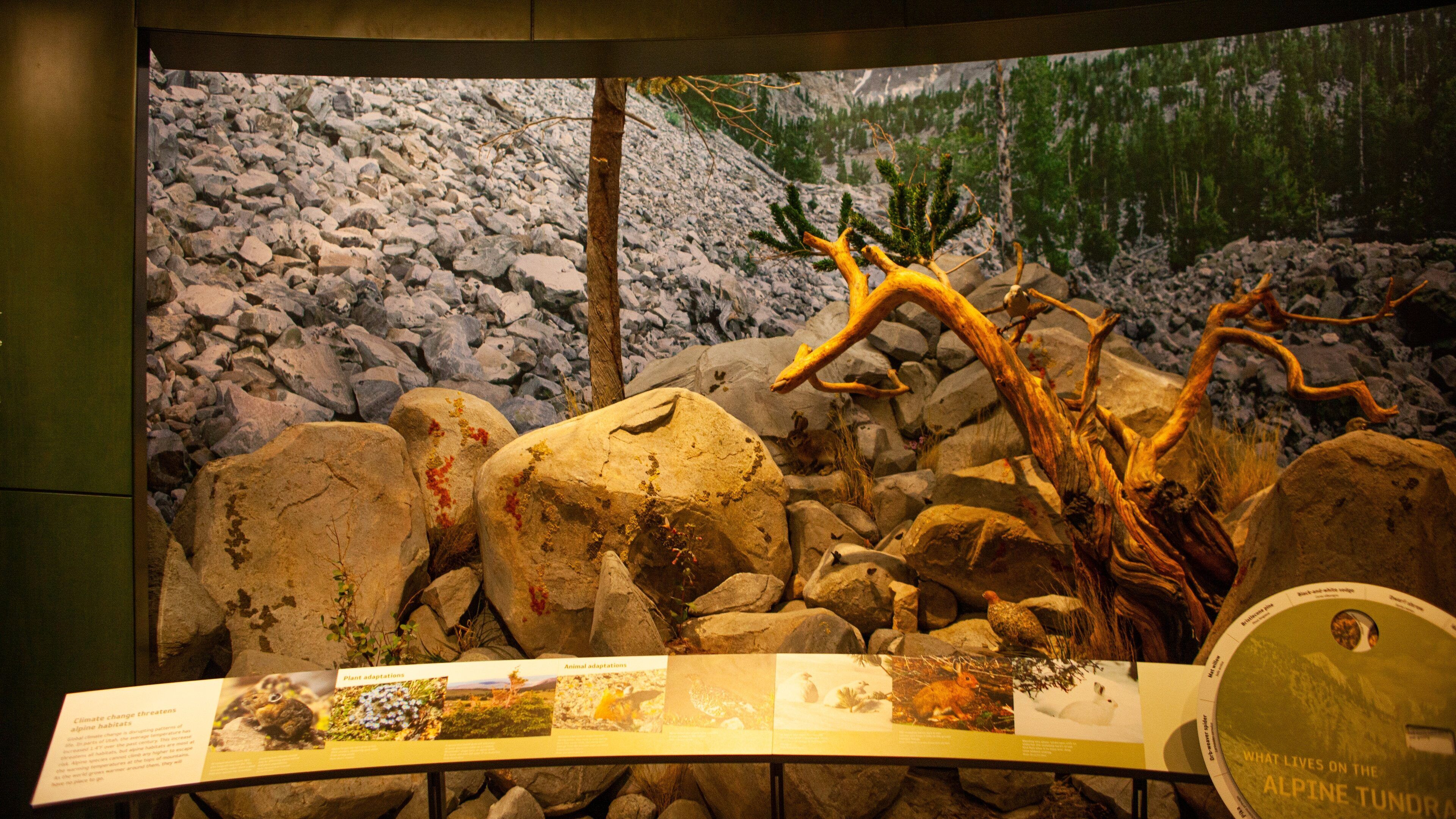 Utah Museum of Natural History which includes interior views