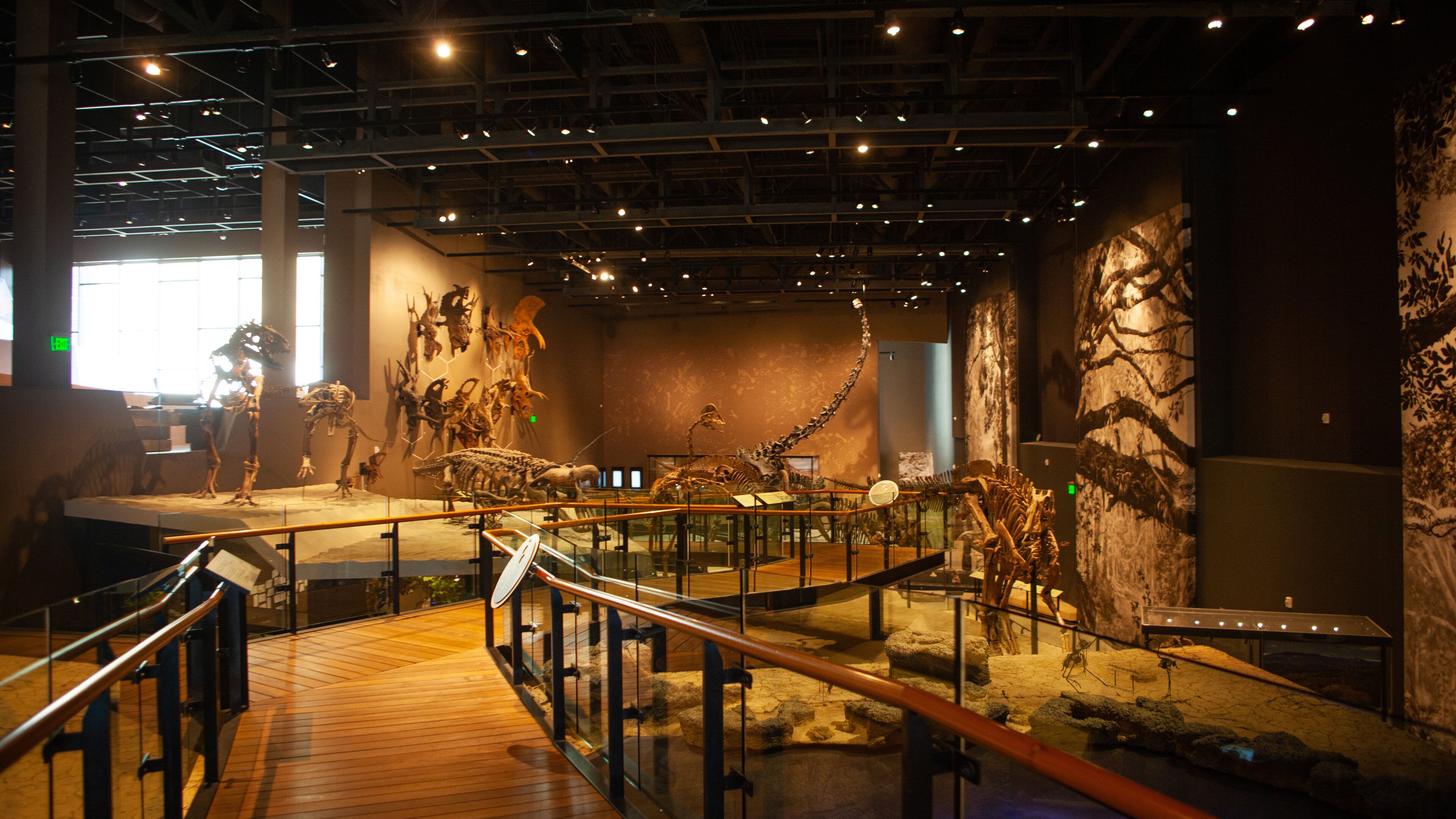 Utah Museum of Natural History which includes interior views