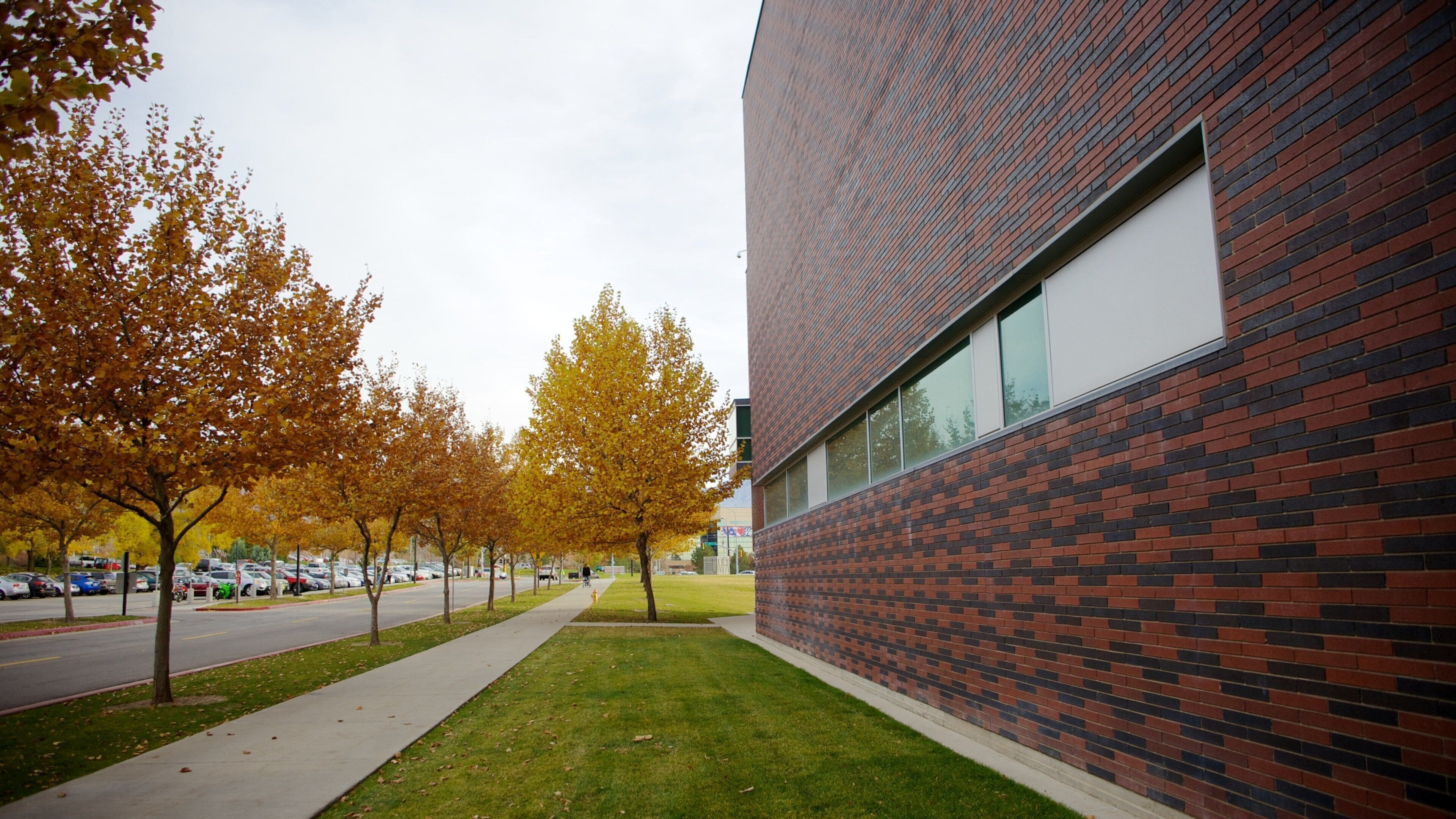 Utah Museum of Fine Art which includes modern architecture and autumn leaves