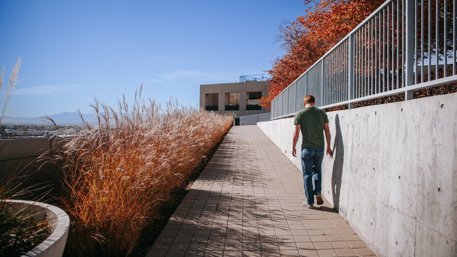Salt Lake City Public Library featuring street scenes as well as an individual male
