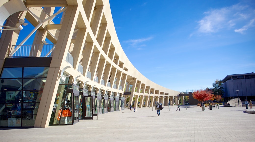 Salt Lake Public Library Main Building mostrando arquitectura moderna y una ciudad