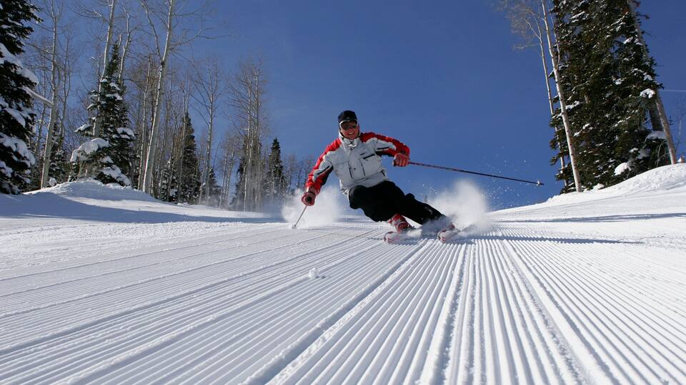 A skier in motion on a snowy slope with trees in the background.