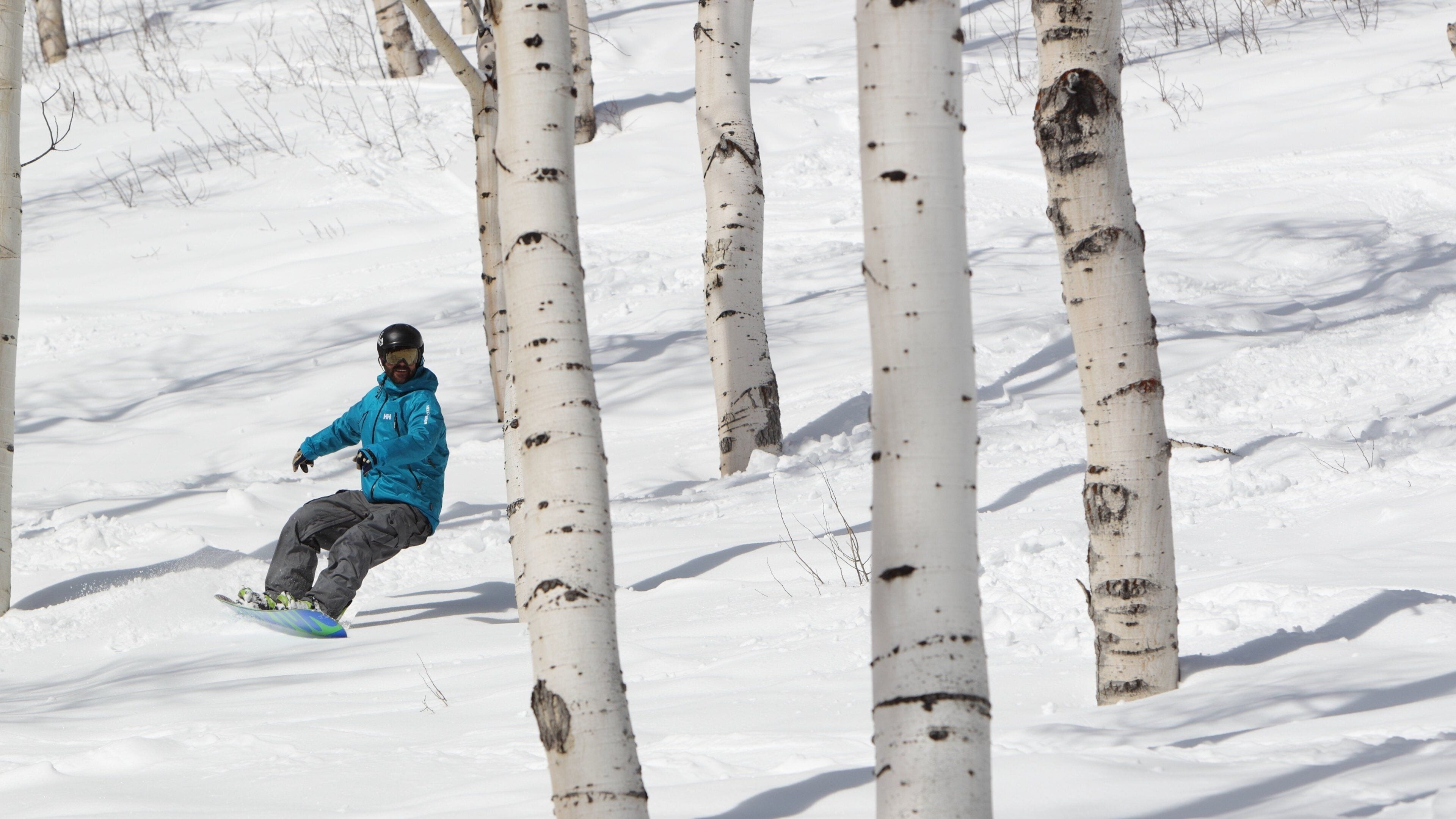 公園市山林渡假村 设有 森林景觀, 雪地滑板 和 雪
