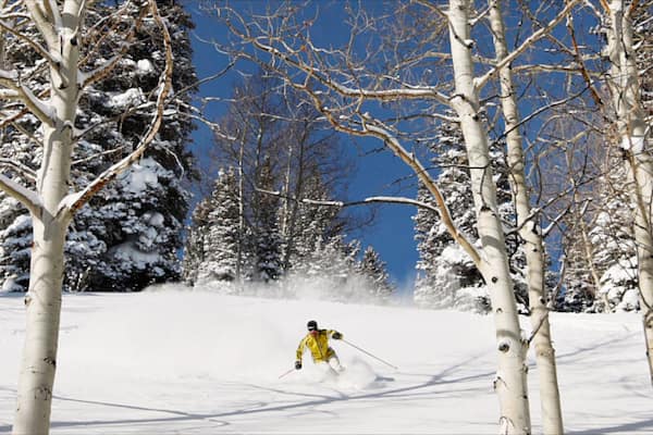 A skier in a yellow jacket skiing down a snowy slope surrounded by snow-covered trees.