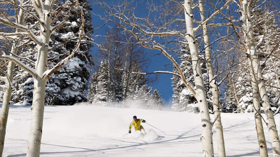 A skier in a yellow jacket skiing down a snowy slope surrounded by snow-covered trees.