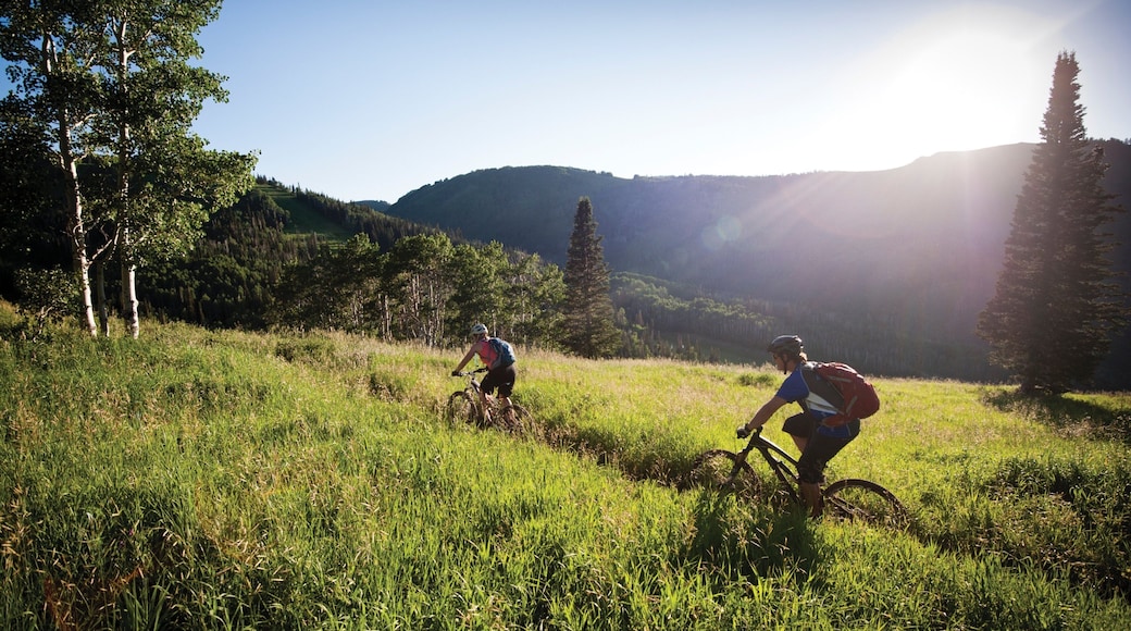 Park City Mountain Resort featuring tranquil scenes, landscape views and a garden
