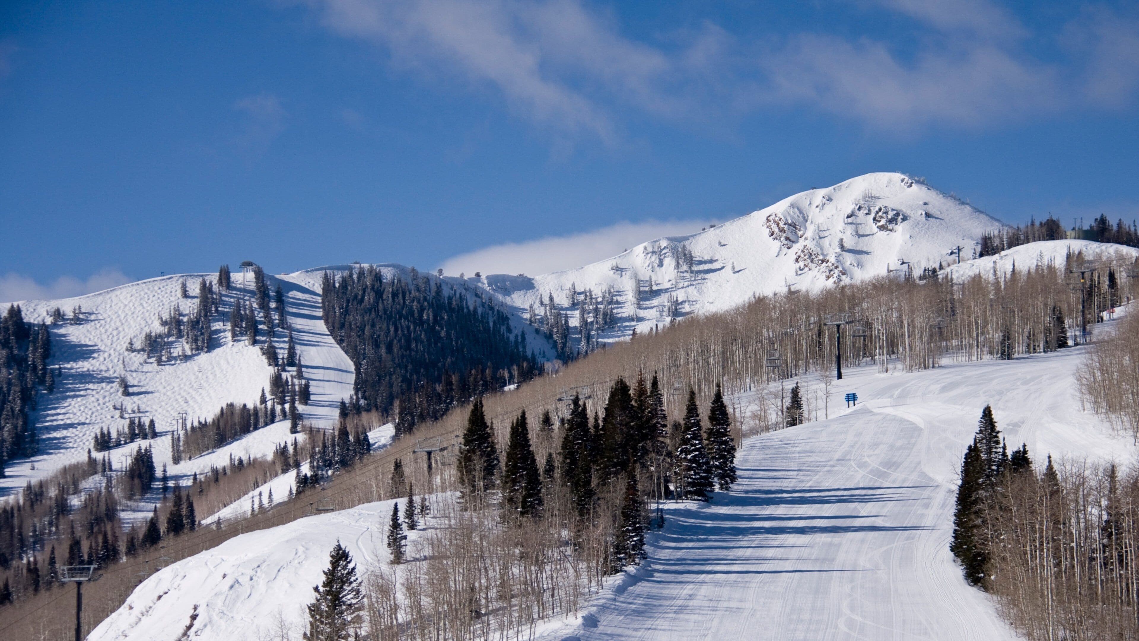 A snow-covered mountain with ski trails and trees.