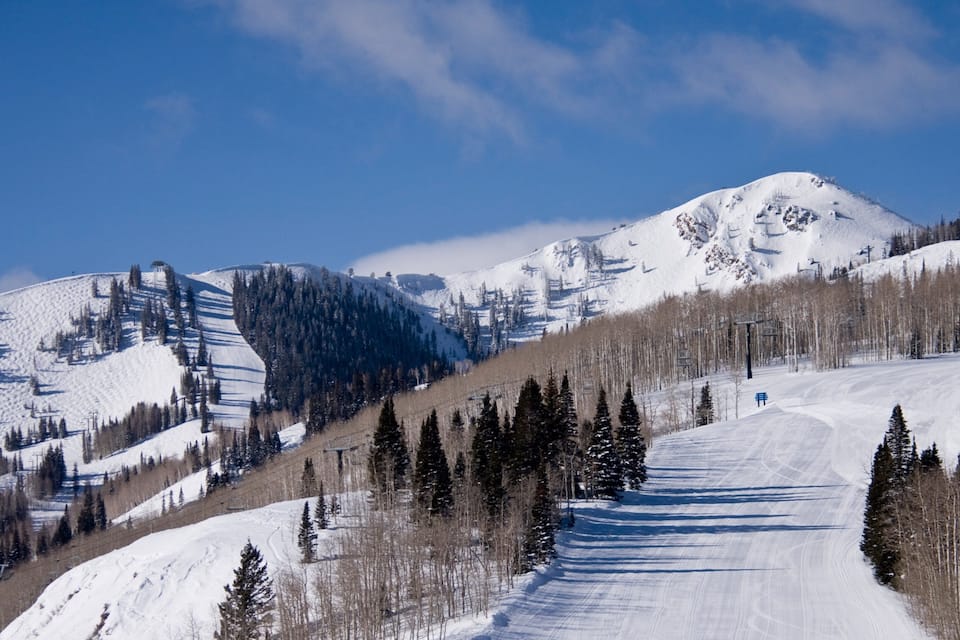 Montanha coberta de neve com pistas de esqui e árvores.