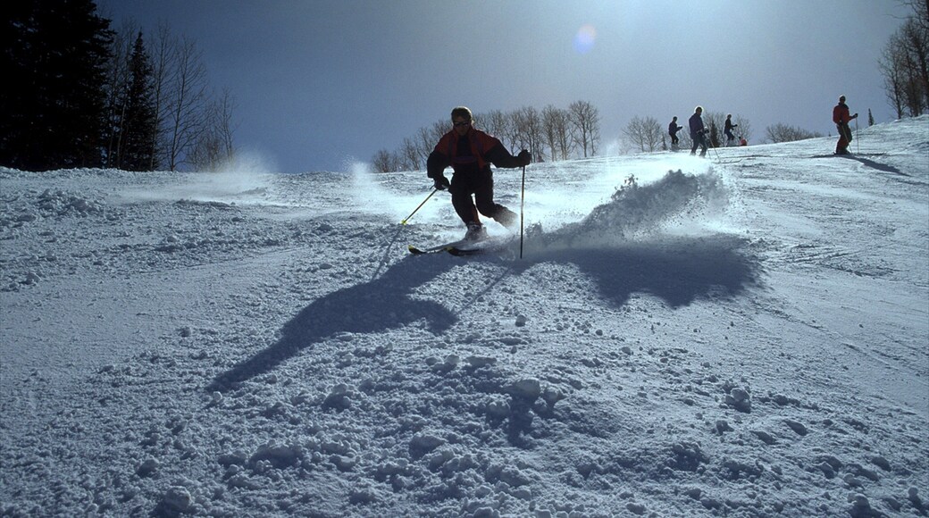 Deer Valley Resort fasiliteter samt snø og skikjøring i tillegg til en mann