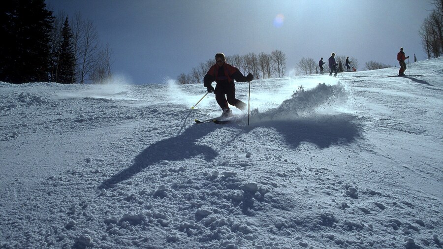 Deer Valley Resort featuring snow skiing and snow as well as an individual male