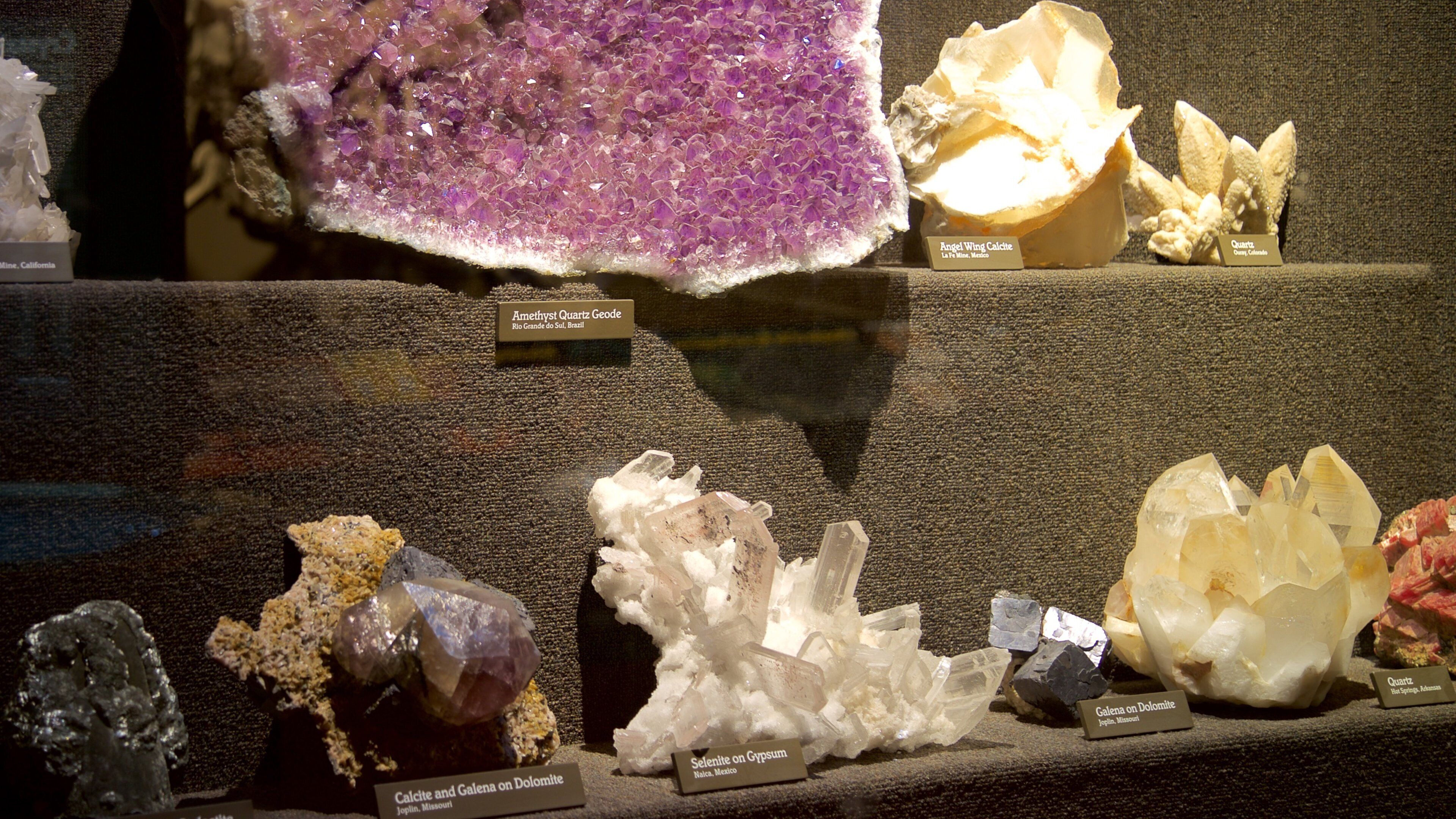 Milwaukee Public Museum