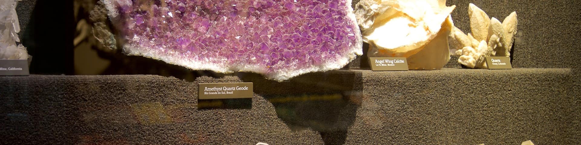 Milwaukee Public Museum