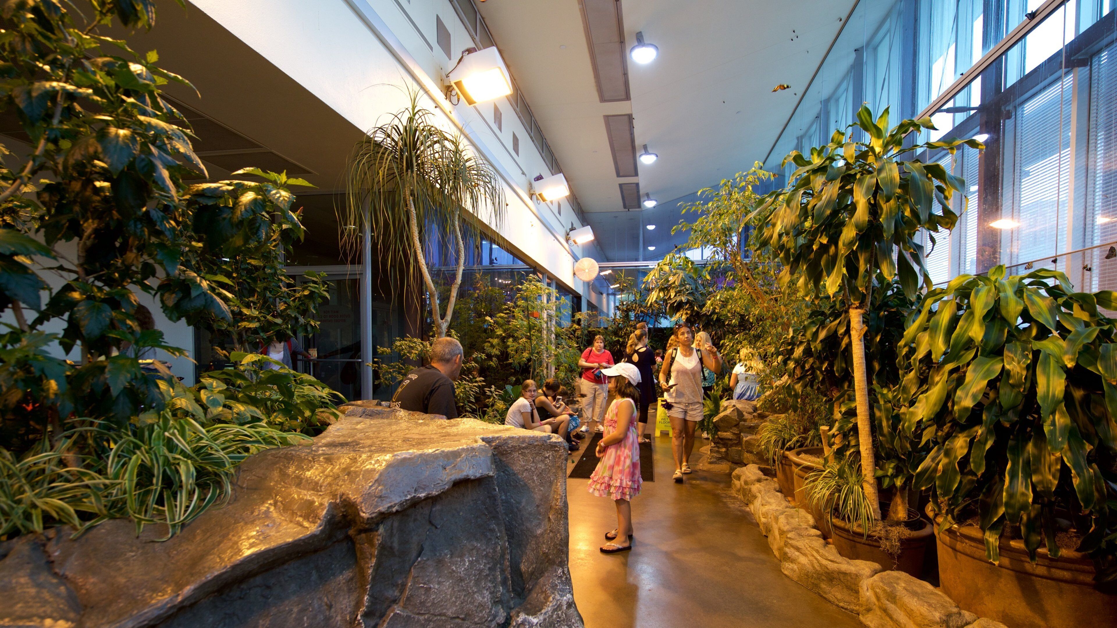 Milwaukee Public Museum