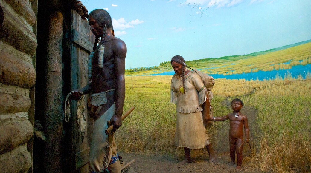 Milwaukee Public Museum featuring landscape views