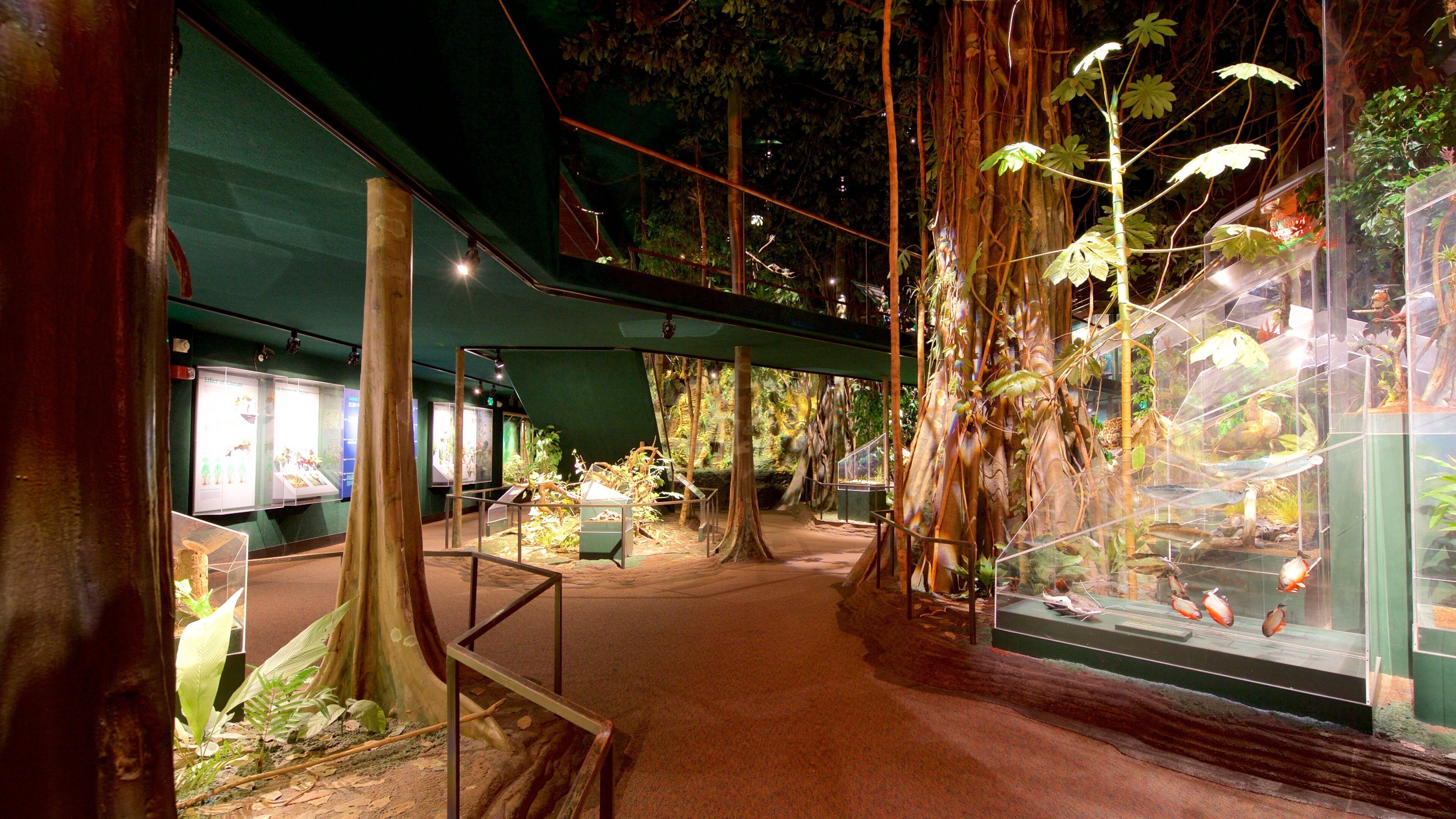 Milwaukee Public Museum mettant en vedette vues intérieures