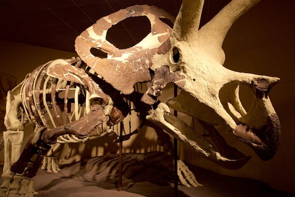 Museo público de Milwaukee