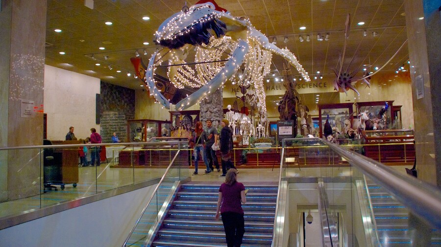 Milwaukee Public Museum som omfatter interiør