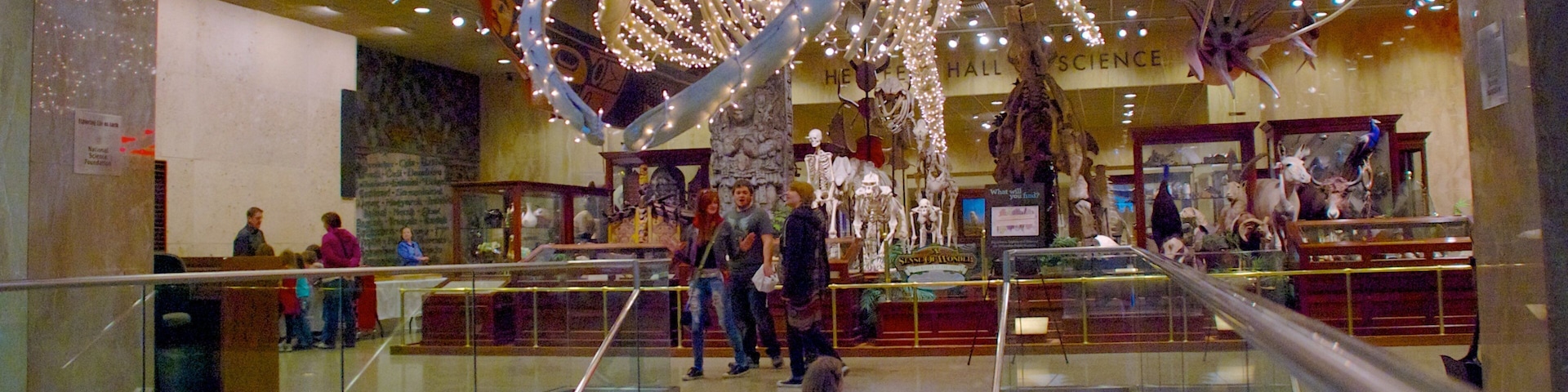 Museu Público de Milwaukee mostrando vistas internas