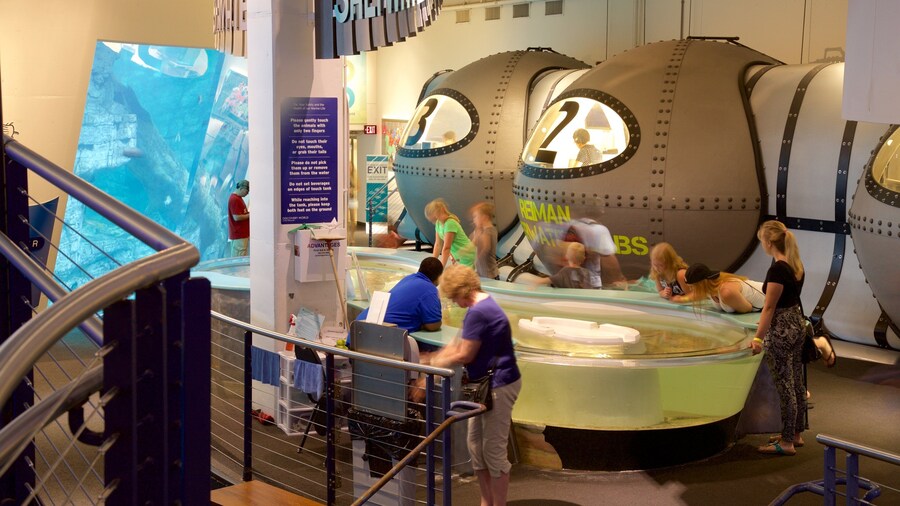 Discovery World que incluye vistas de interior y también un grupo pequeño de personas