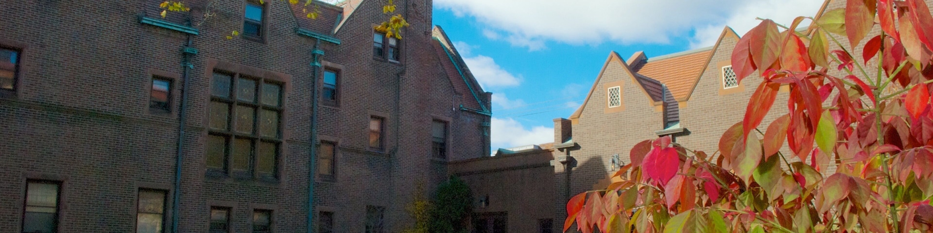 Charles Allis Art Museum 其中包括 藝術 和 秋天落葉