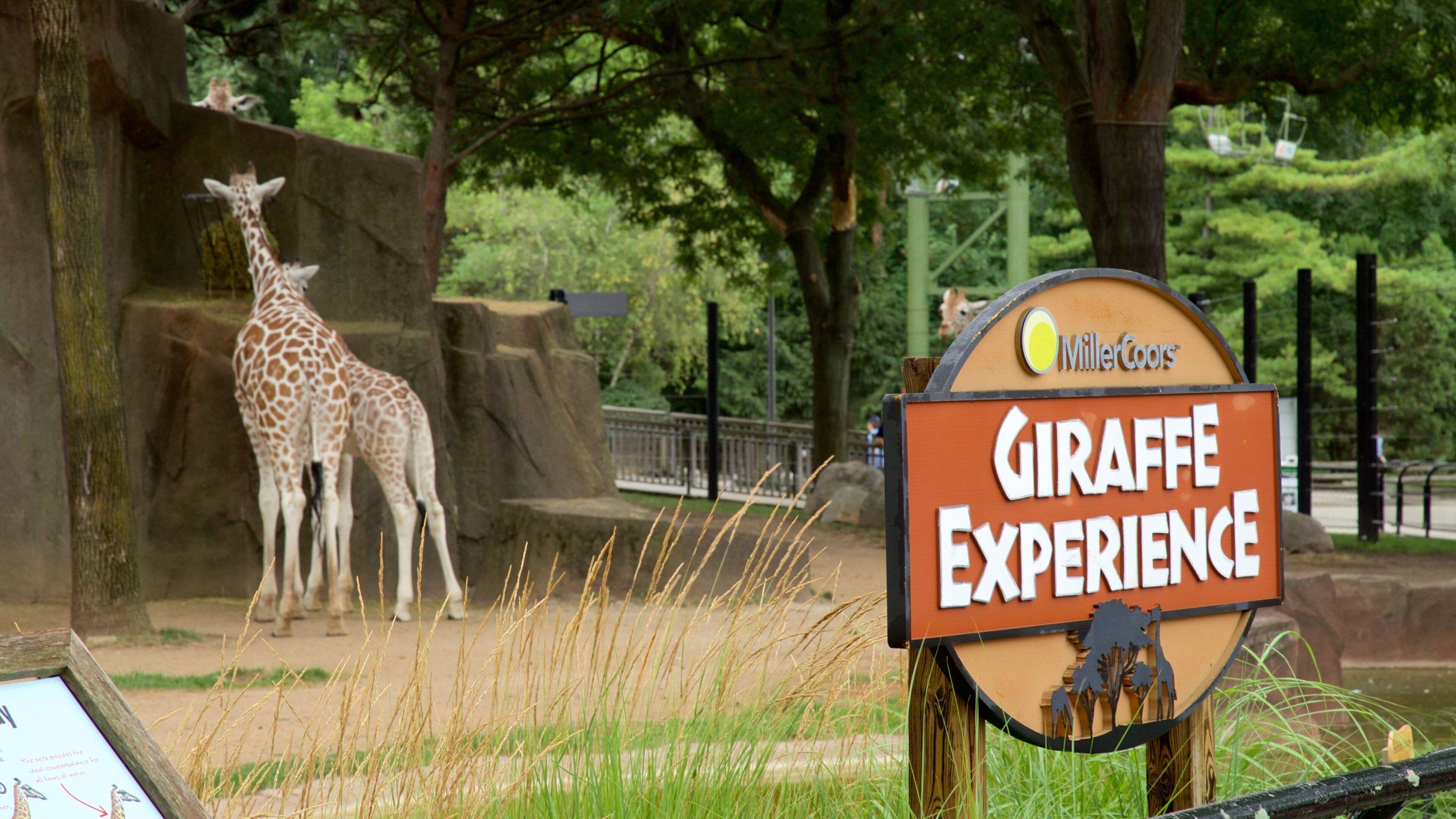 Milwaukee County zoologiske hage som inkluderer skilt og dyrehagedyr