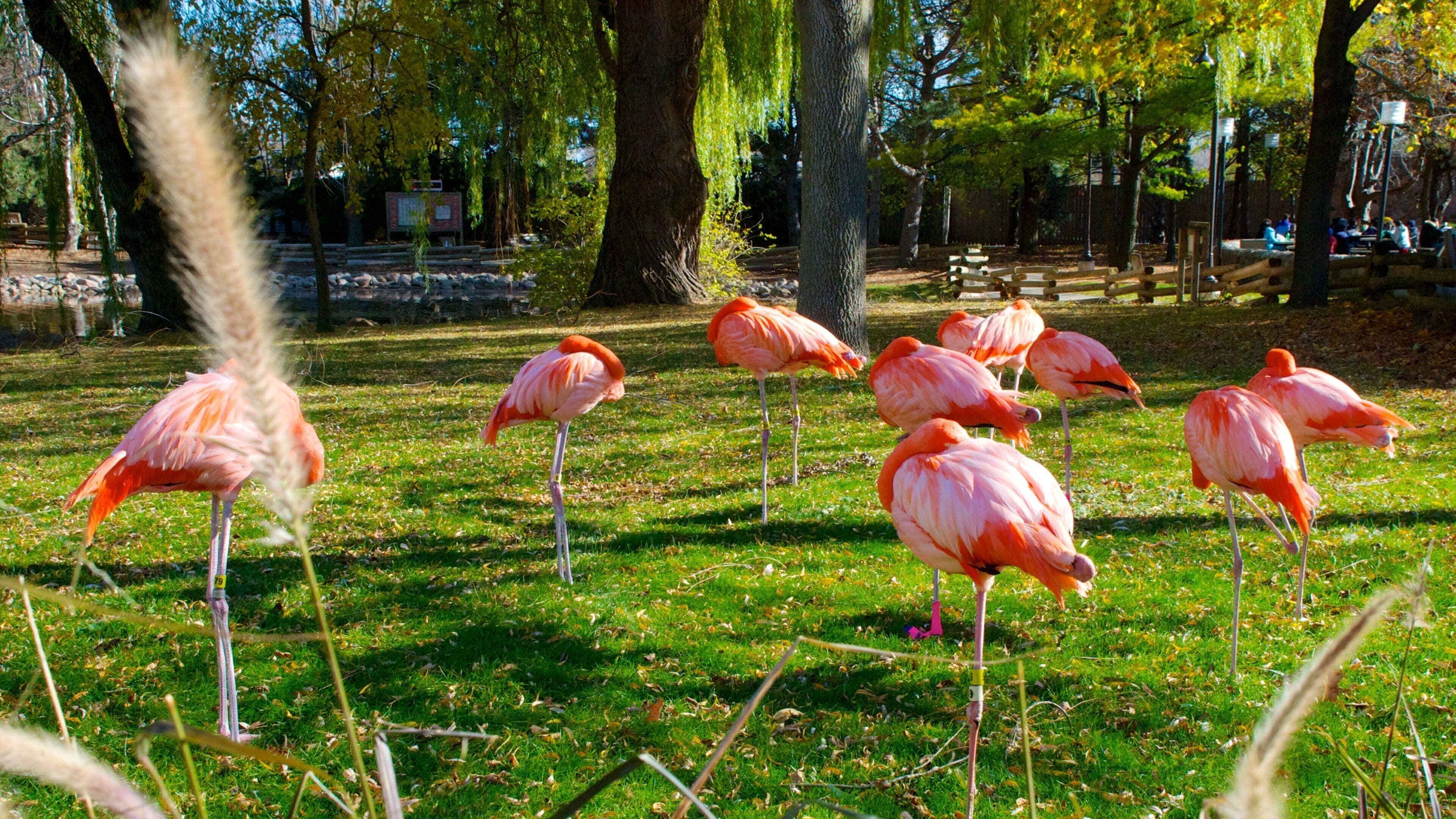 Milwaukee County Zoo