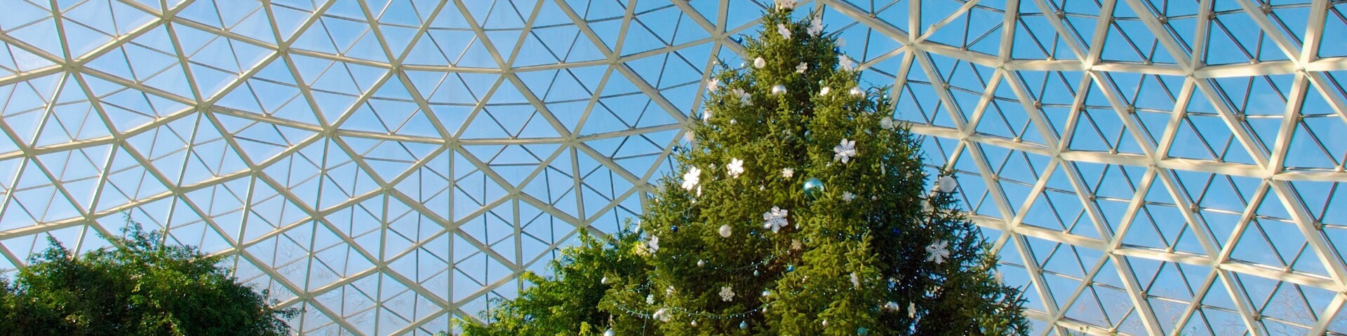 Mitchell Park Horticultural Conservatory ofreciendo vista interna