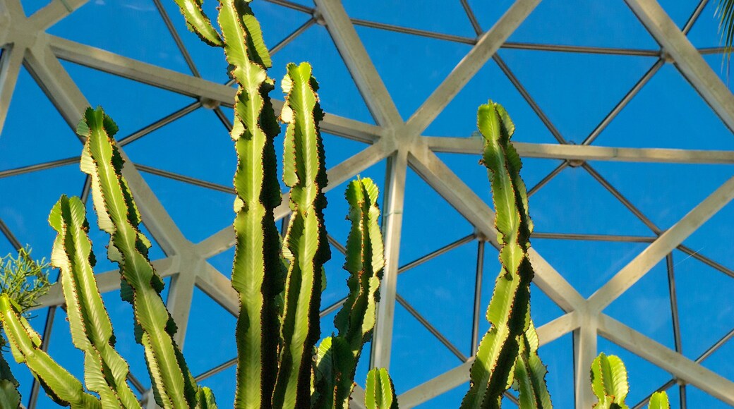 Mitchell Park Horticultural Conservatory which includes interior views