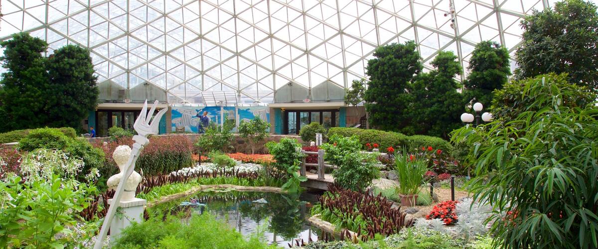 Mitchell Park Horticultural Conservatory