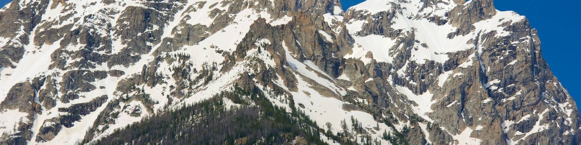 Cascade Canyon showing mountains and snow
