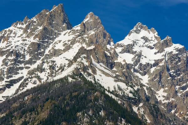 Cascade Canyon featuring mountains and snow