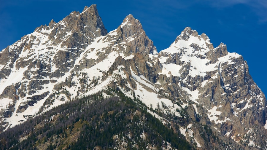 Cascade Canyon toont sneeuw en bergen