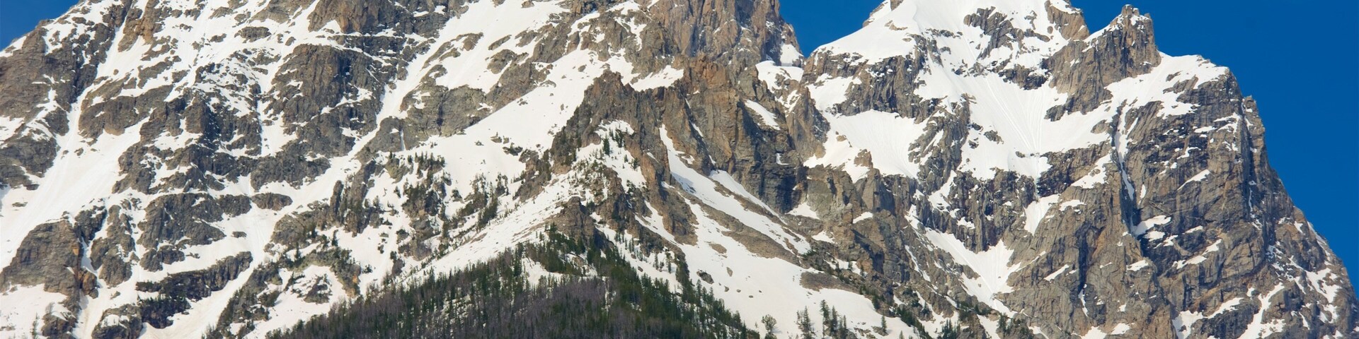 Cascade Canyon caracterizando neve e montanhas