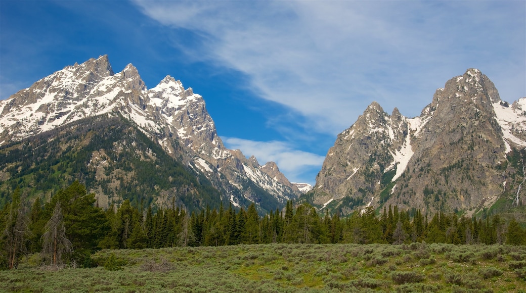 卡斯卡德峽谷 设有 寧靜風景, 山水美景 和 山
