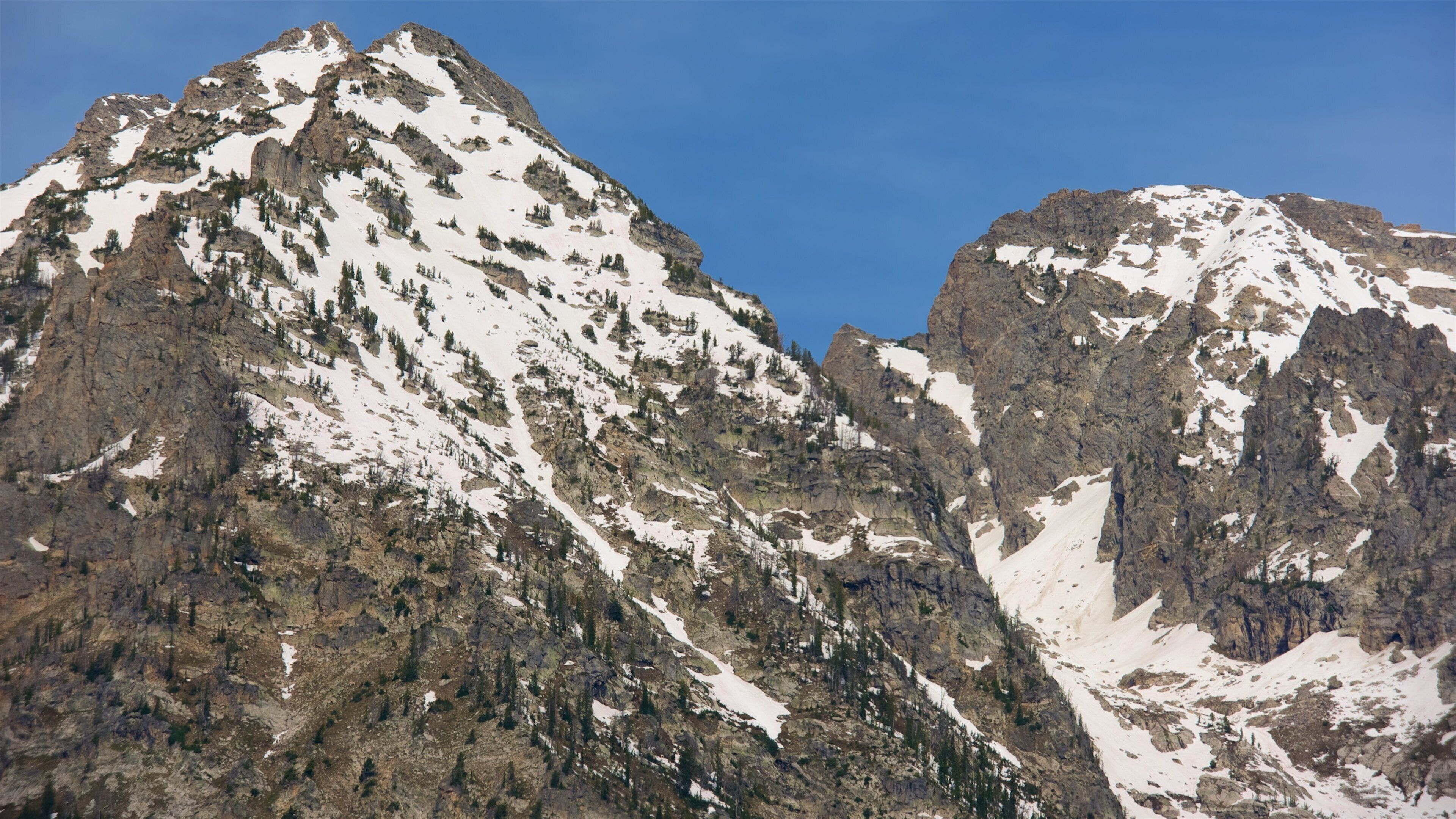 Cascade Canyon showing mountains and snow
