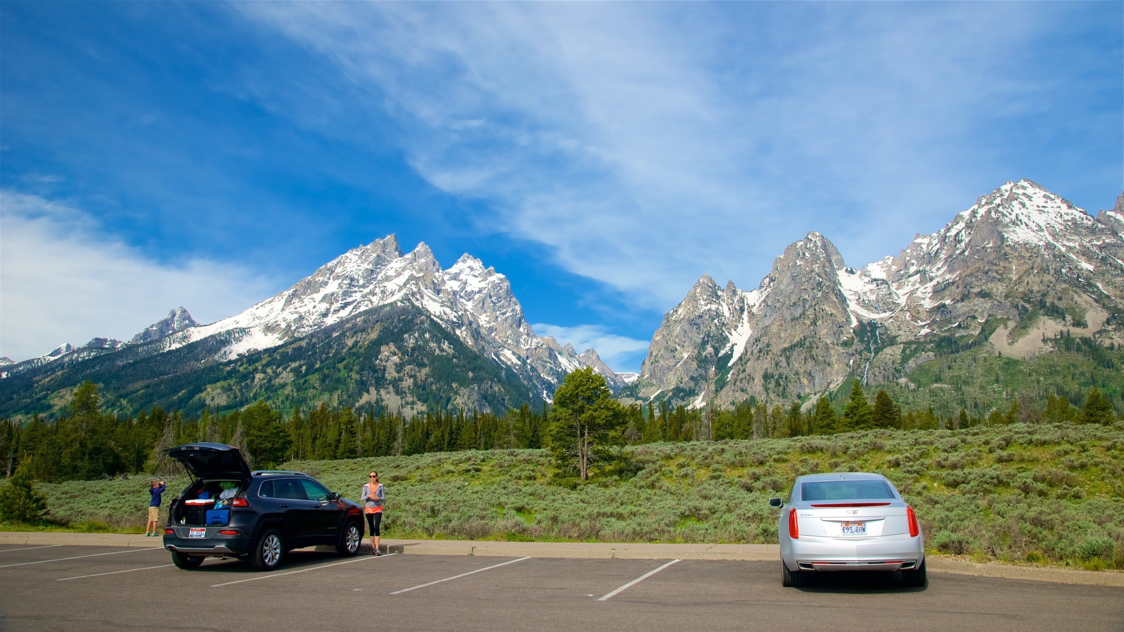 Cascade Canyon showing tranquil scenes and mountains