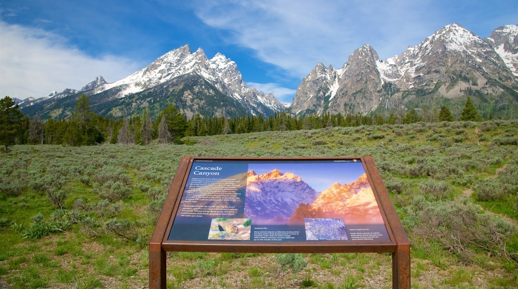 Cascade Canyon som viser bjerge og skiltning
