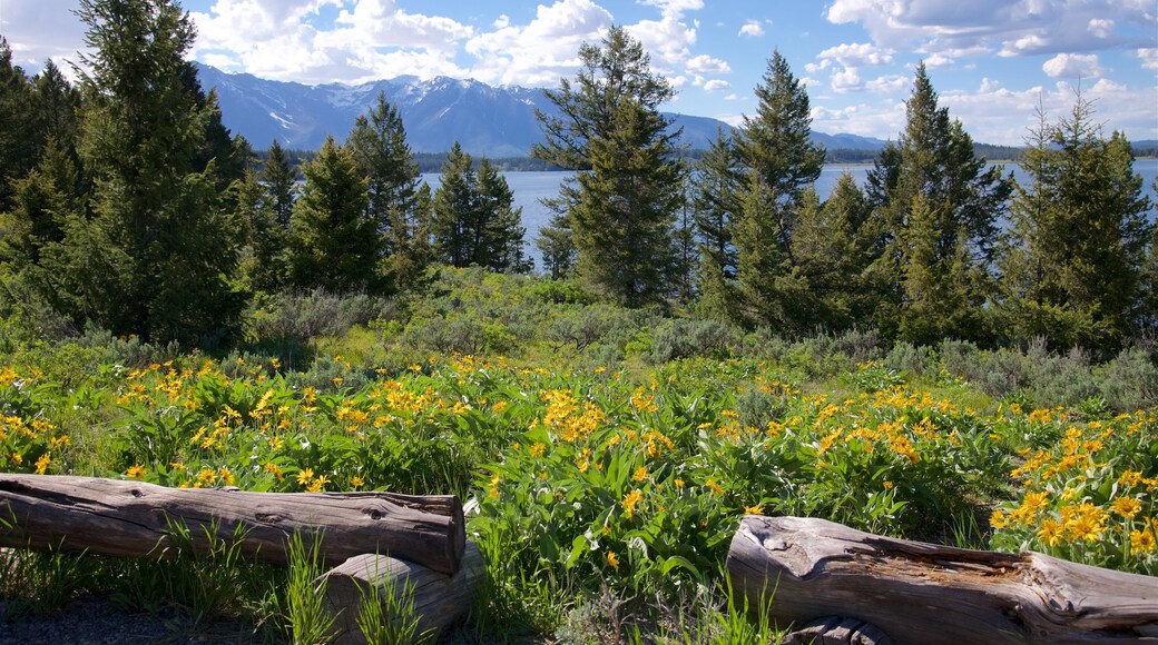 Chapel of the Sacred Heart which includes wildflowers and a lake or waterhole