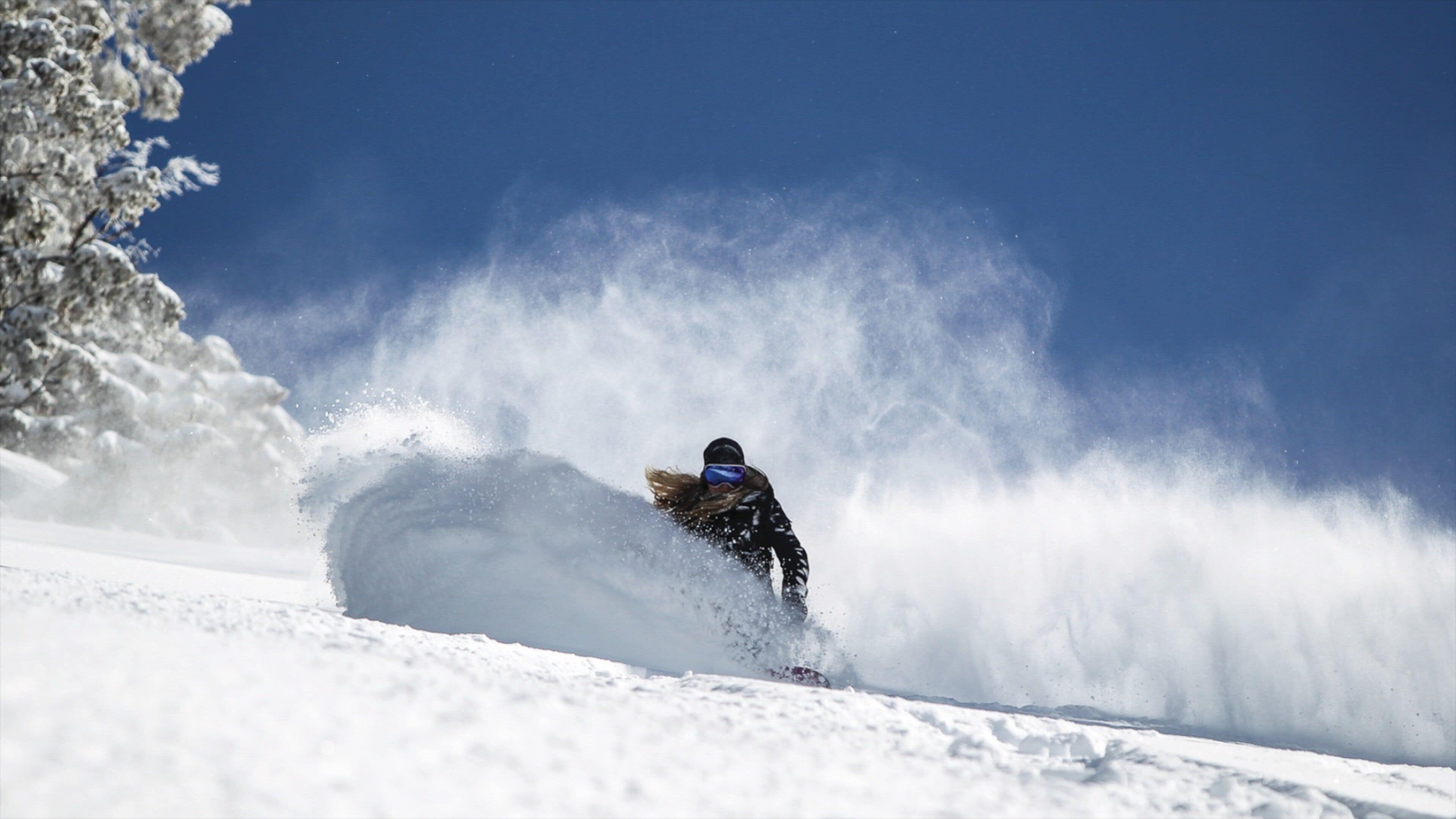 A person snowboarding down a snowy slope with trees on the left.