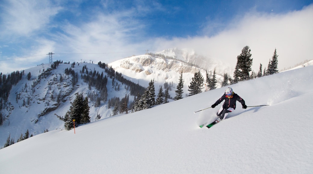 Jackson Hole Mountain Resort showing snow, snow skiing and mountains