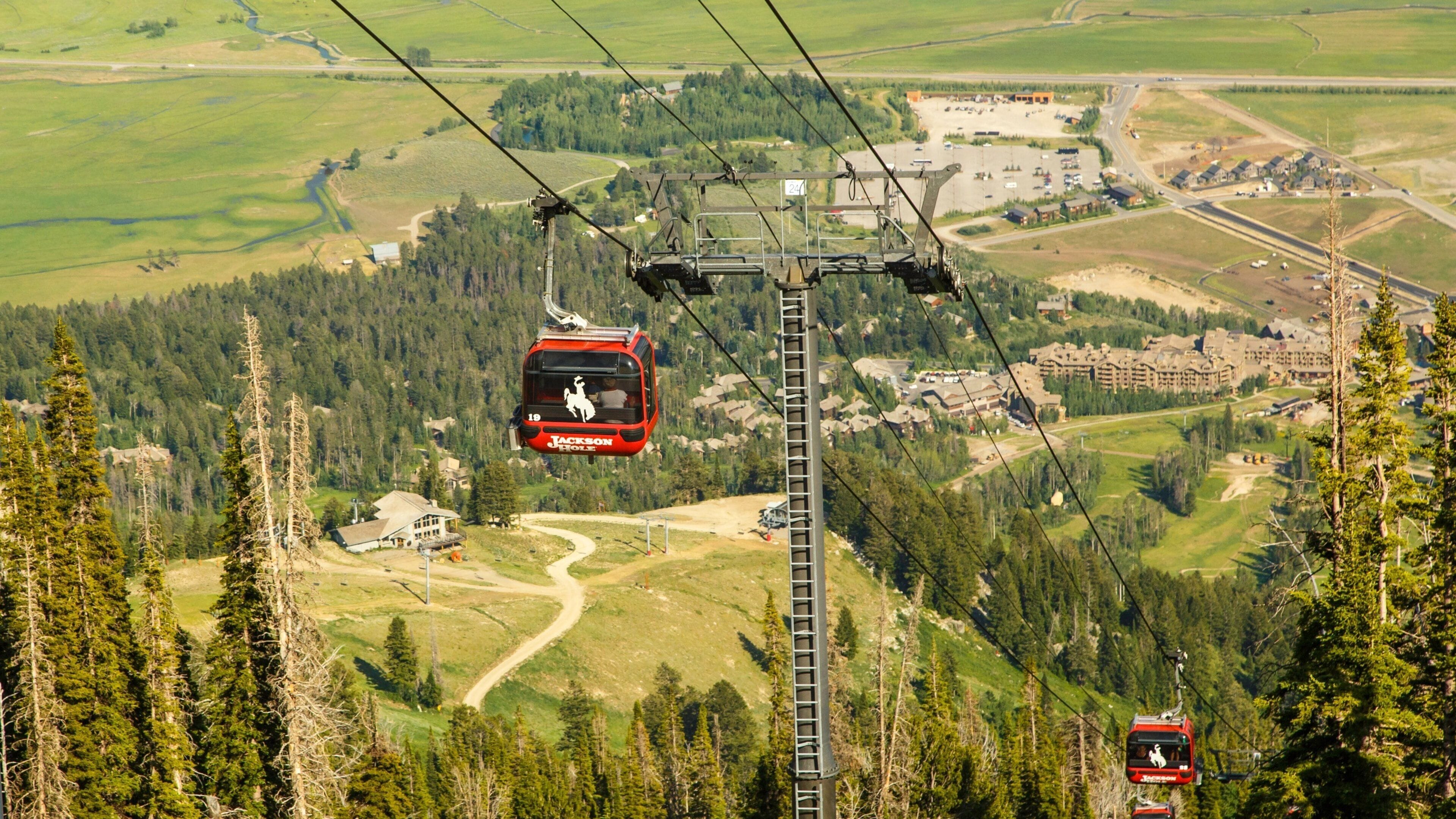 Jackson Hole Mountain Resort ofreciendo una góndola y vistas de paisajes