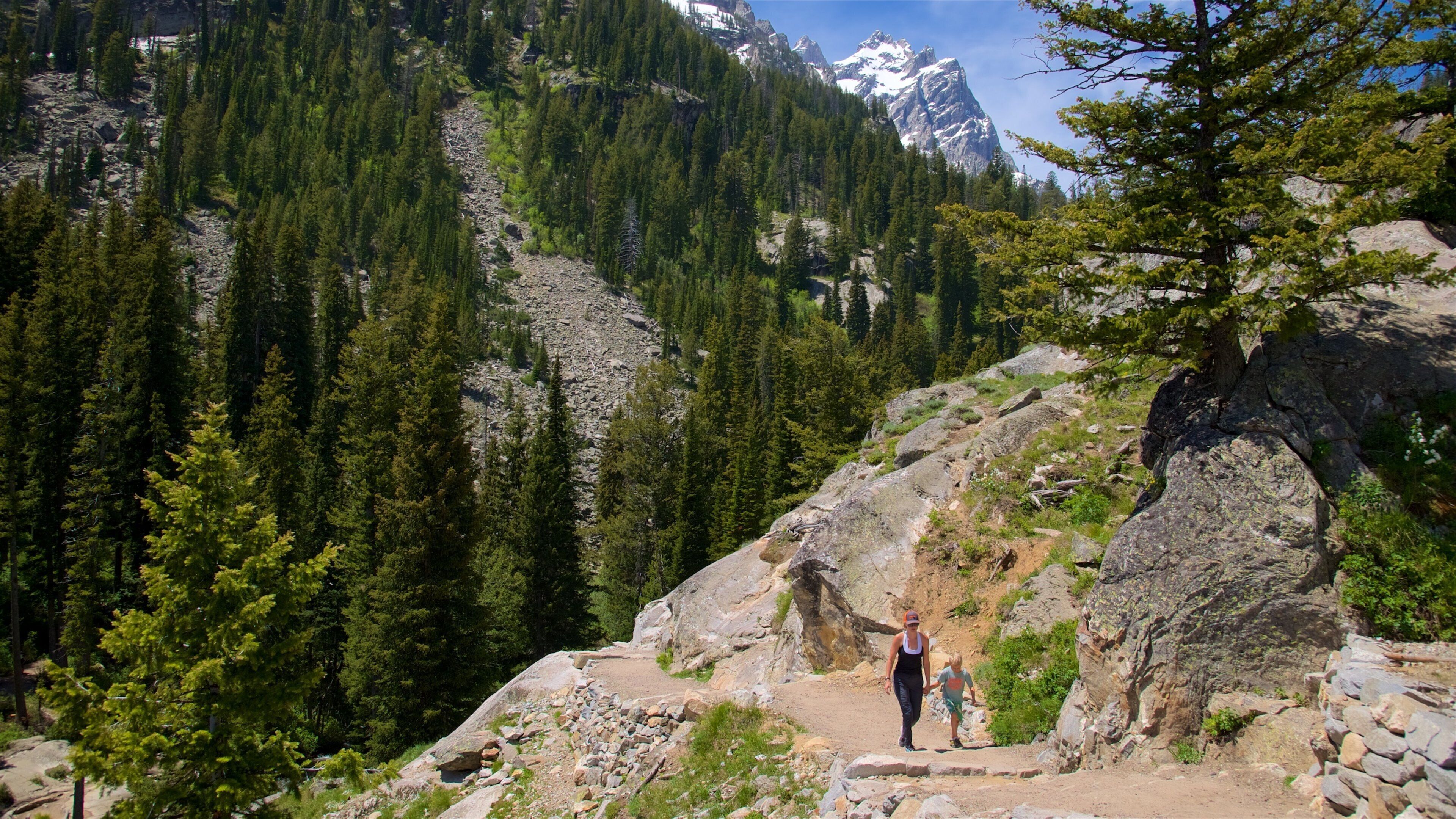 Lago Jenny que incluye montañas, senderismo o caminatas y situaciones tranquilas